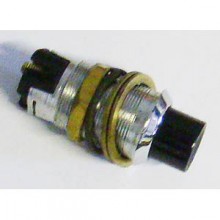 Push Starter Switch 317063