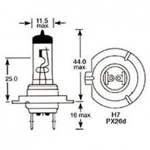 H7 Halogen Bulb 12v 55w for modern cars LLB499