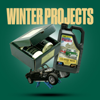 Winter Projects